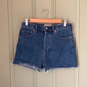 Everlane Cheeky Denim Cutoff Shorts